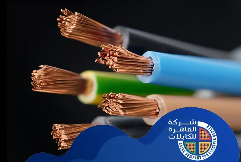 سعر سلك النت